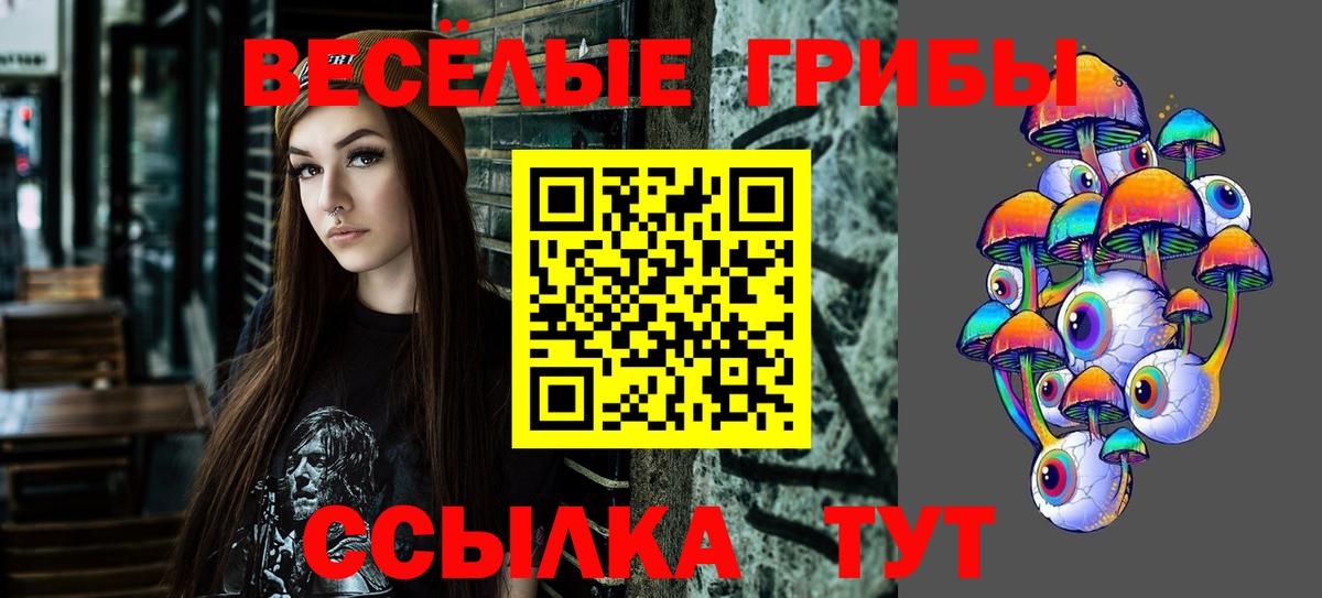 Галлюциногенные грибы Psilocybine cubensis  Вход с VPN  Миллерово 