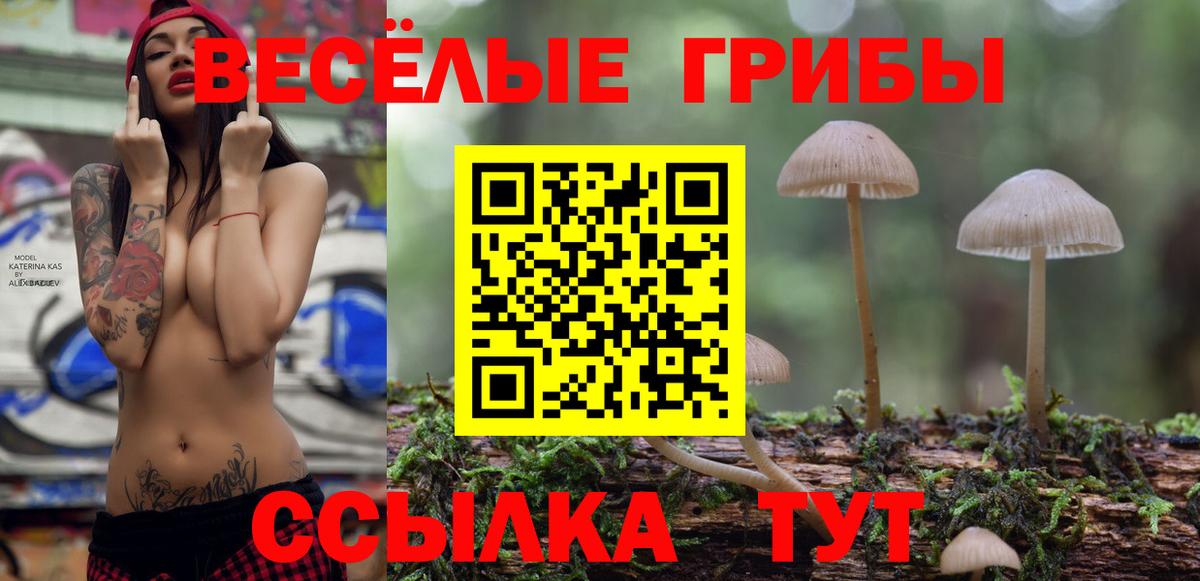 Псилоцибиновые грибы GOLDEN TEACHER Миллерово